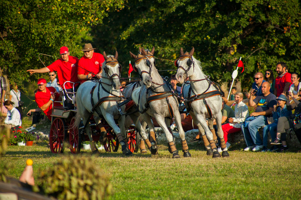 Karpatia Horse Show 2025, Domeniul Cantacuzino, bilete Karpatia, competiții ecvestre România