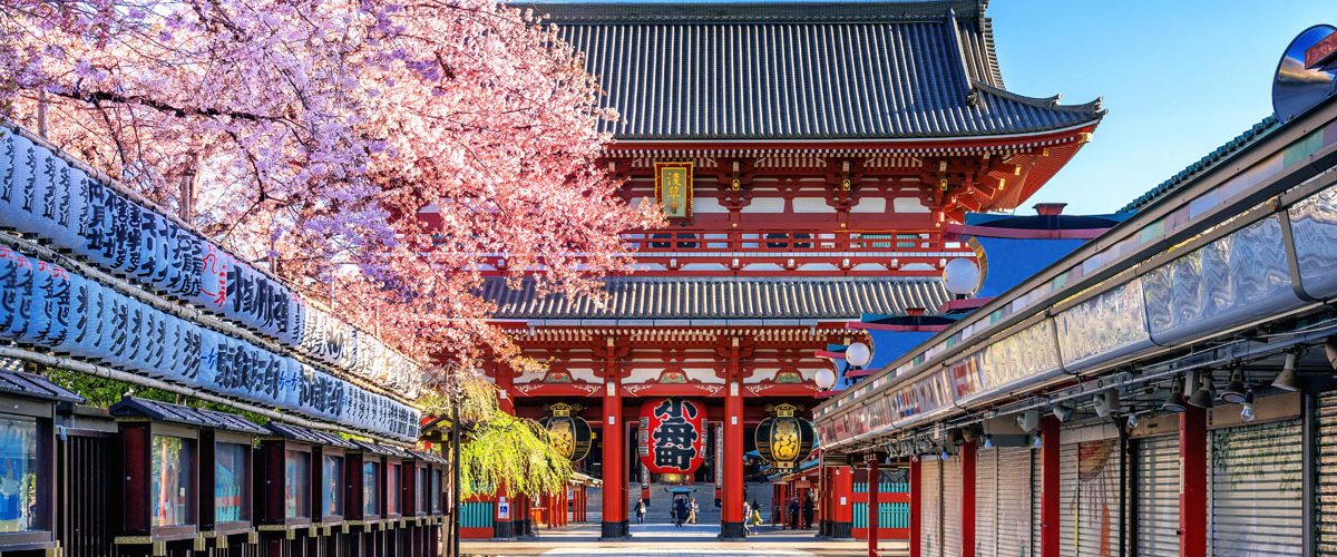 Japonia sănătate prevenție, Tokutei Kenshin, Shokuiku educație alimentară, România sistem medical, cheltuieli sănătate PIB, check-up anual angajați, prevenție România, lecții globale