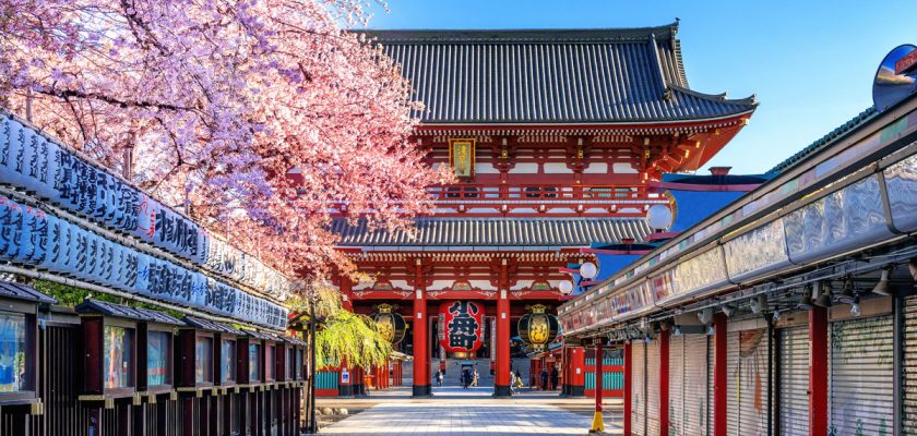 Japonia sănătate prevenție, Tokutei Kenshin, Shokuiku educație alimentară, România sistem medical, cheltuieli sănătate PIB, check-up anual angajați, prevenție România, lecții globale