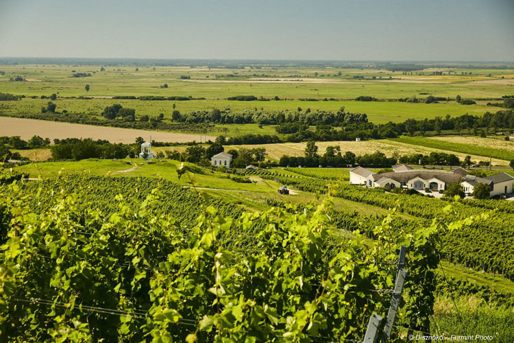 Tokaj Ungaria