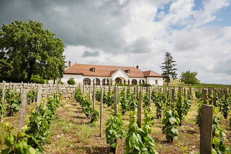 Tokaj Ungaria
