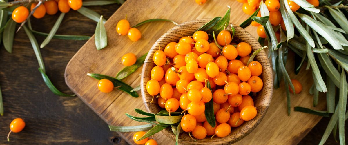 cătină, fructe de cătină, recoltare cătină, consum cătină, vitamine naturale, valori nutriționale cătină