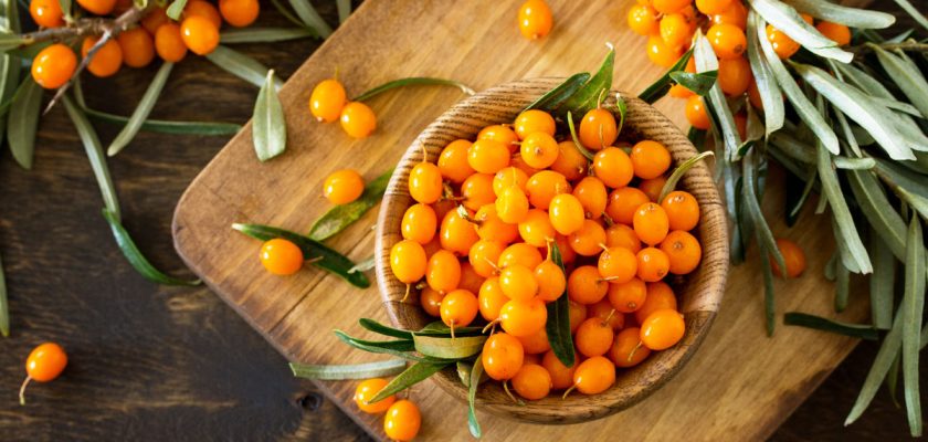 cătină, fructe de cătină, recoltare cătină, consum cătină, vitamine naturale, valori nutriționale cătină