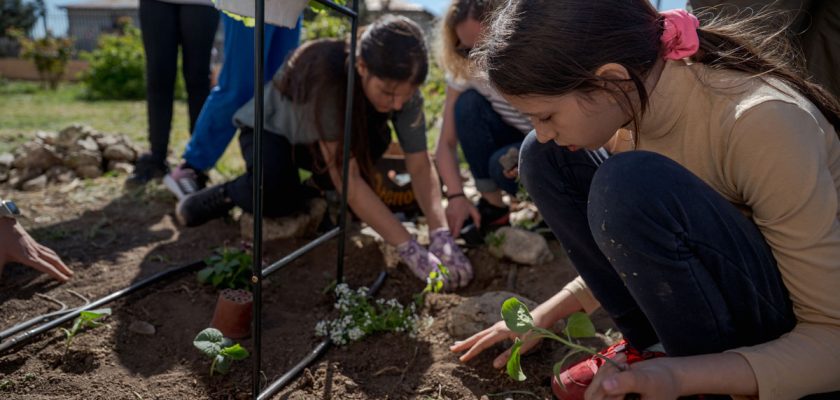 EduGrădina: grădini pedagogice pentru comunități de învățare durabile