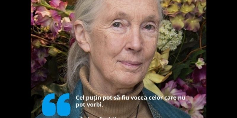 Jane Goodall, conservare animale, protecția animalelor, Humane World for Animals