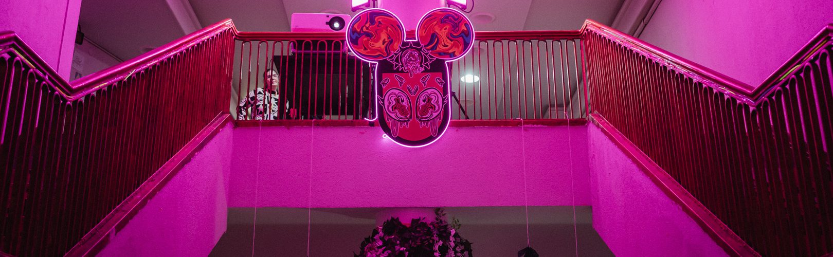 Trippy Night la Animest