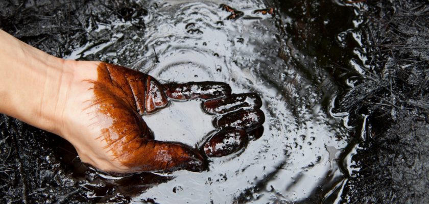 petrol xtb investitii