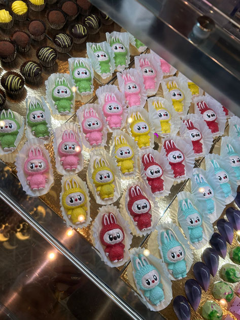 Chocolate Saga Iasi