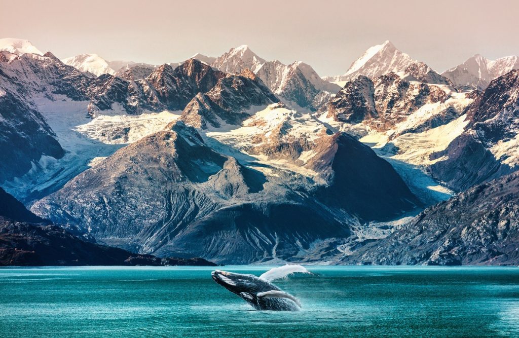 Exact Travel Târgul de Turism Online 2025 1