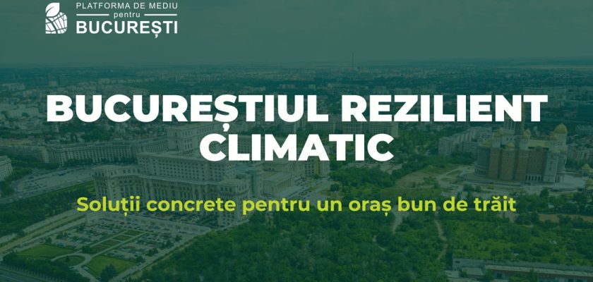 reziliență climatică, București verde, Fundația Comunitară București, schimbări climatice, proiecte de mediu
