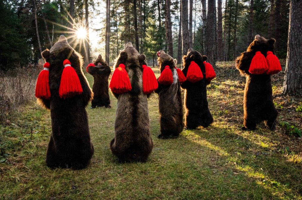 mersul cu ursul Experiențe autentice de sărbători de iarna Romania