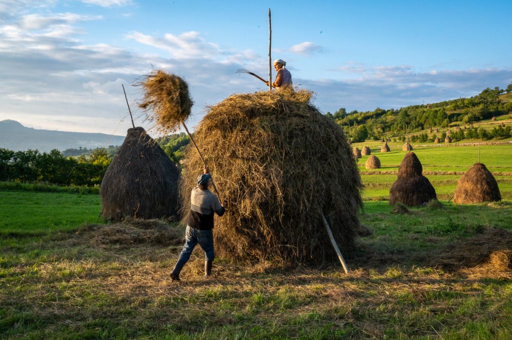viata la tara in Romania