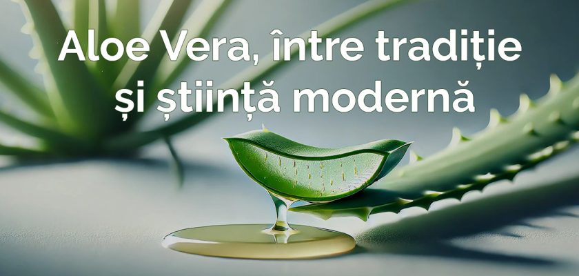 Aloe Vera utilizare beneficii medicina cosmetica