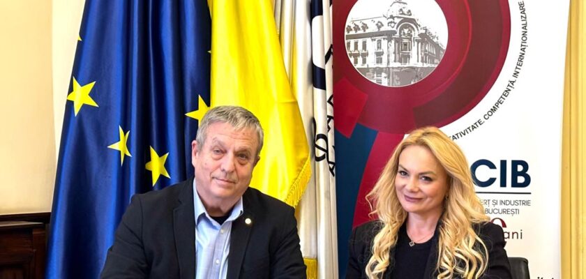 CCIB, Grenada, Caraibe, cooperare economica, parteneriate internationale