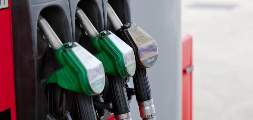 FORT, transportatori, carburanti, motorina, economie