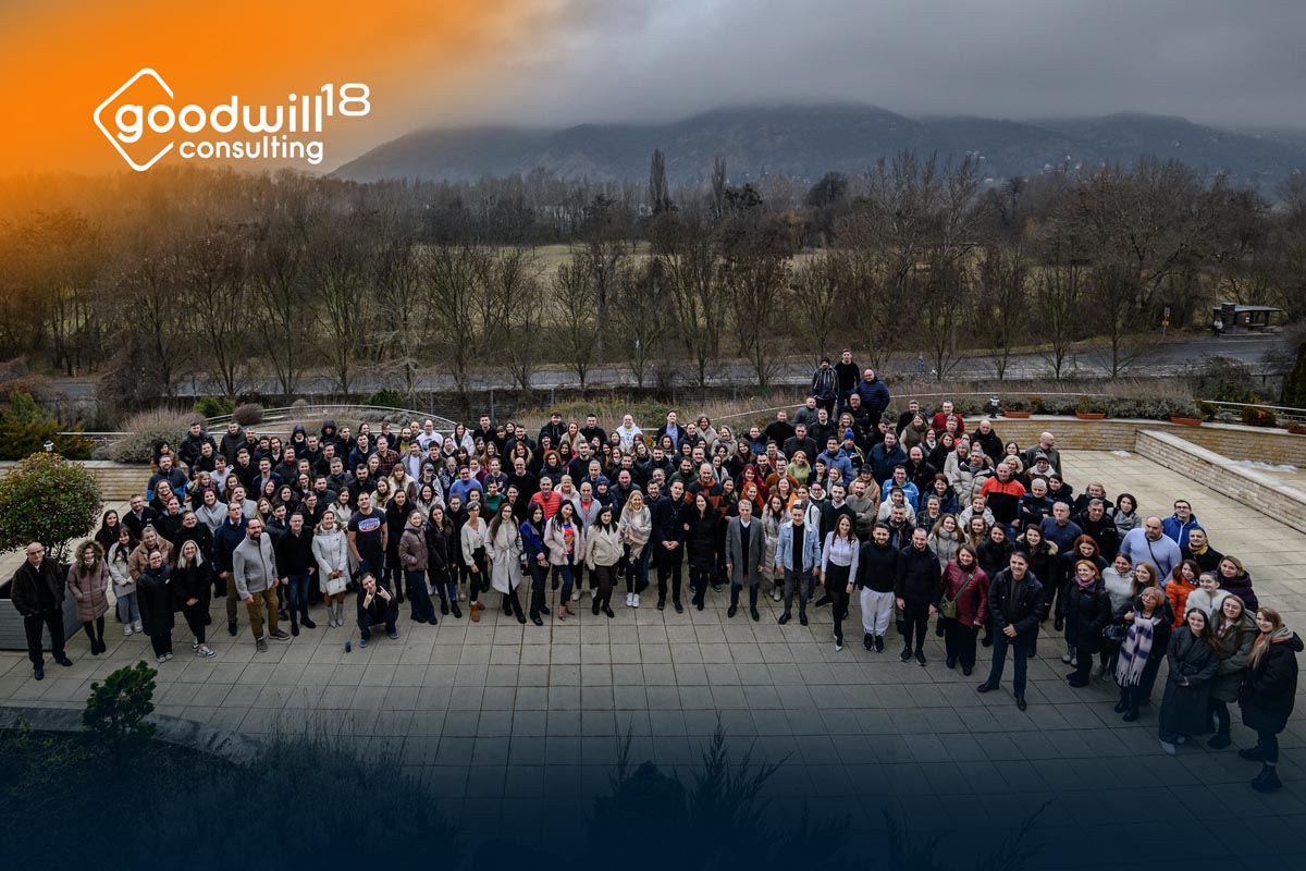 Goodwill Consulting, consultanta, fonduri europene, business, proiecte