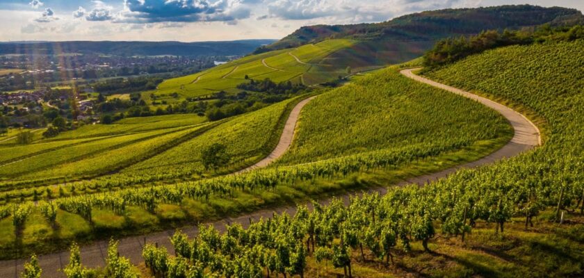 harta interactiva vin, terroir vin, geografie vin, tehnologie vin