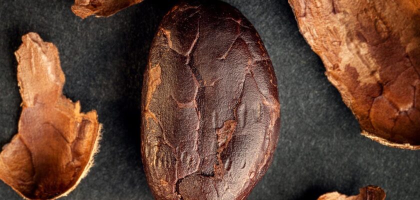 festival ciocolata Bucuresti, ciocolata artizanala, praline artizanale, eveniment gastronomic