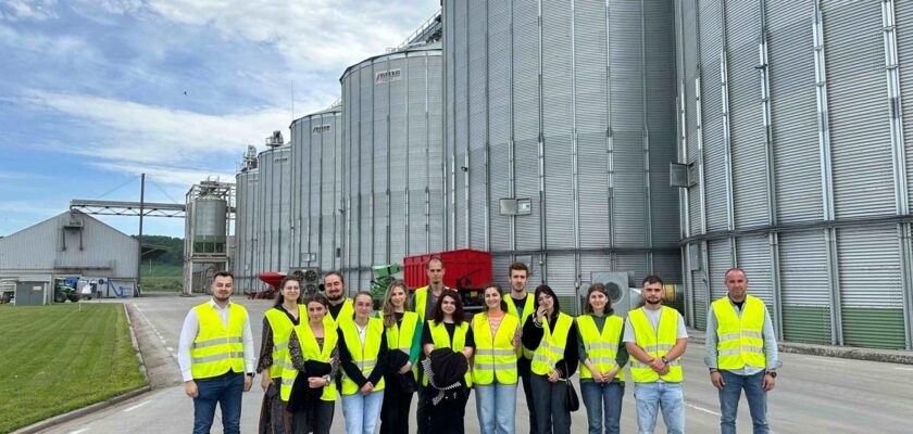 productie carne porc Romania, studiul Feeding Romania, agro consulting club, industria agroalimentara