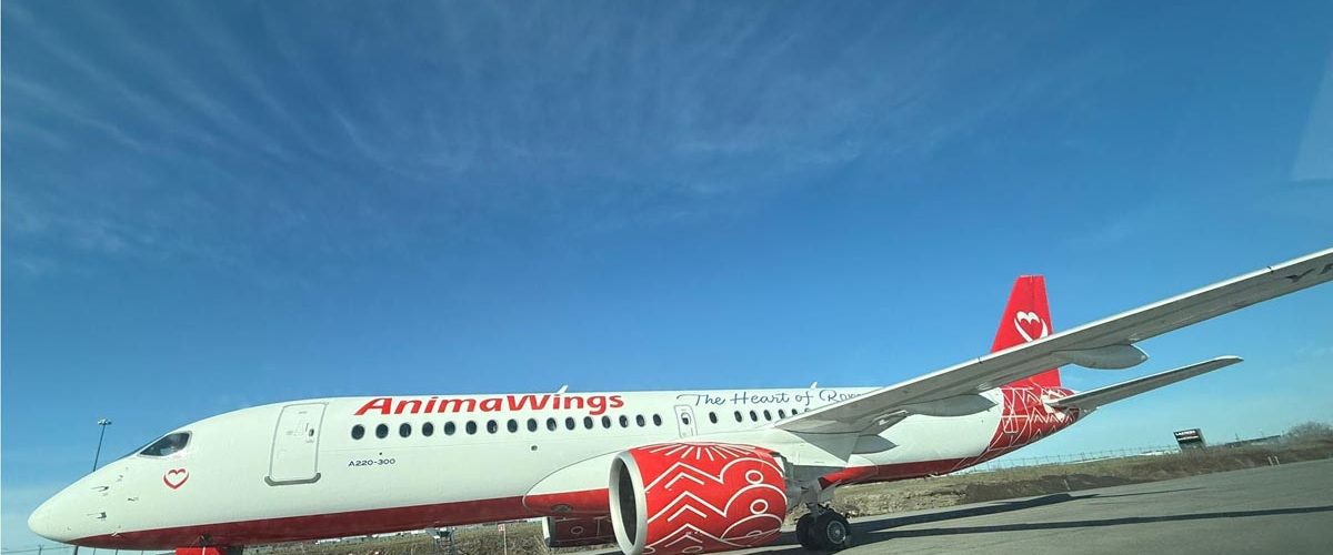 AnimaWings, zboruri, aviatie, Airbus, rute noi