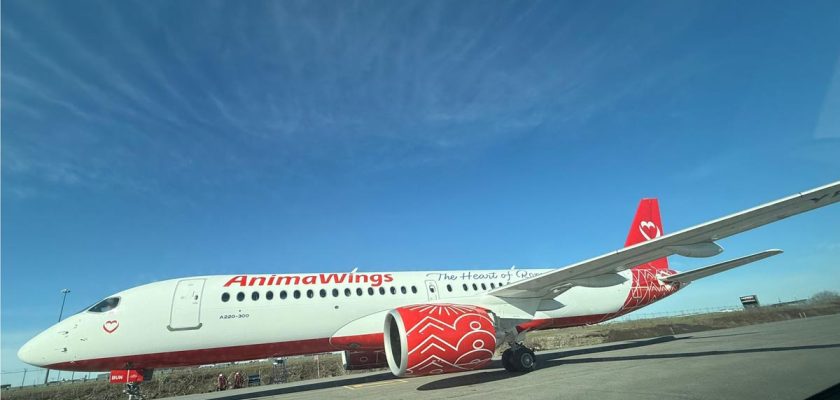 AnimaWings, zboruri, aviatie, Airbus, rute noi
