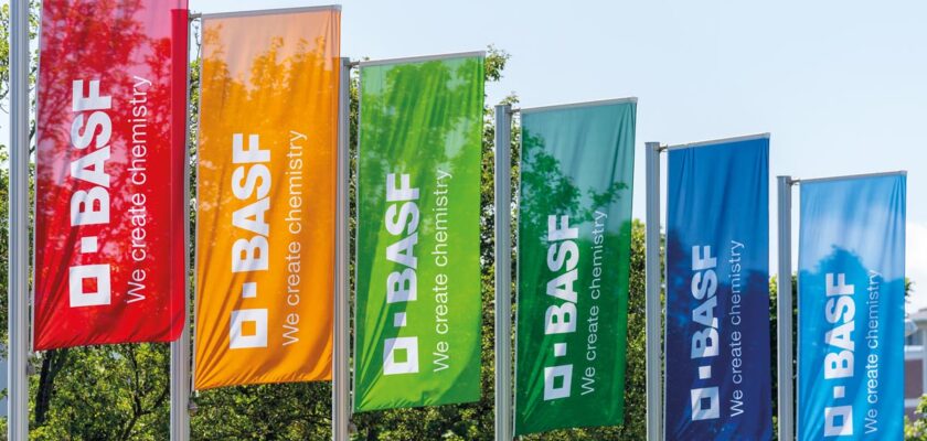 BASF, joburi, corporatii, investitii, resurse umane