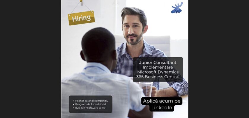 Microsoft Dynamics 365, Business Central, job ERP, consultanta business