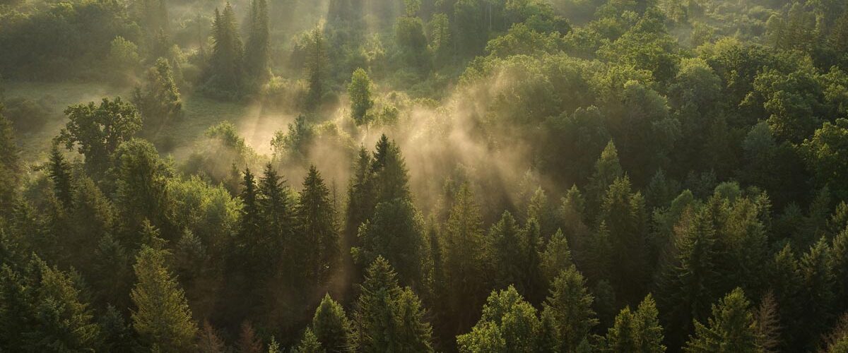 Earth FM, ecoturism, natura, George Vlad, Romania