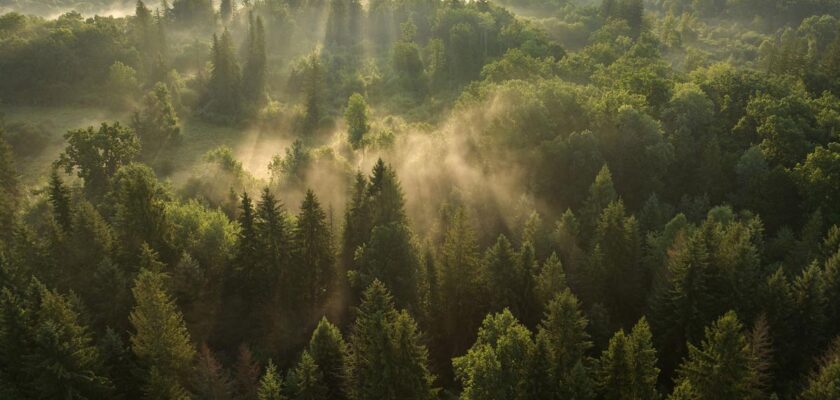Earth FM, ecoturism, natura, George Vlad, Romania
