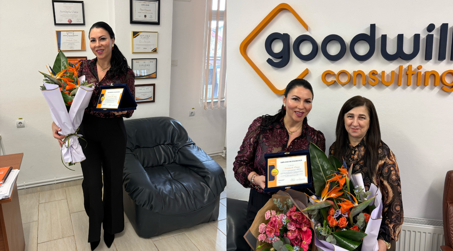 Oana Armășelu, Goodwill Consulting 2