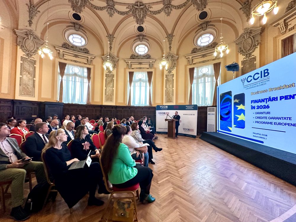 Octavian Stocklosa Vicepresedinte CCIB