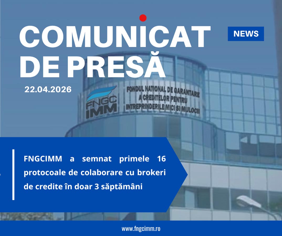 FNGCIMM, brokeri credite, IMM, finantare, garantare