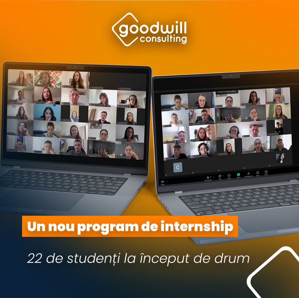 internship Goodwill Consulting tineri studenti