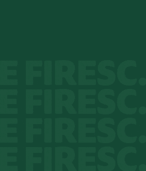 TRANSAVIA - Fragedo brand fragedo transavia iunie 2026